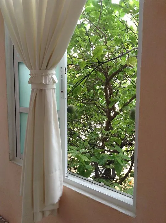 62 St. Guesthouse 메리다 게스트하우스